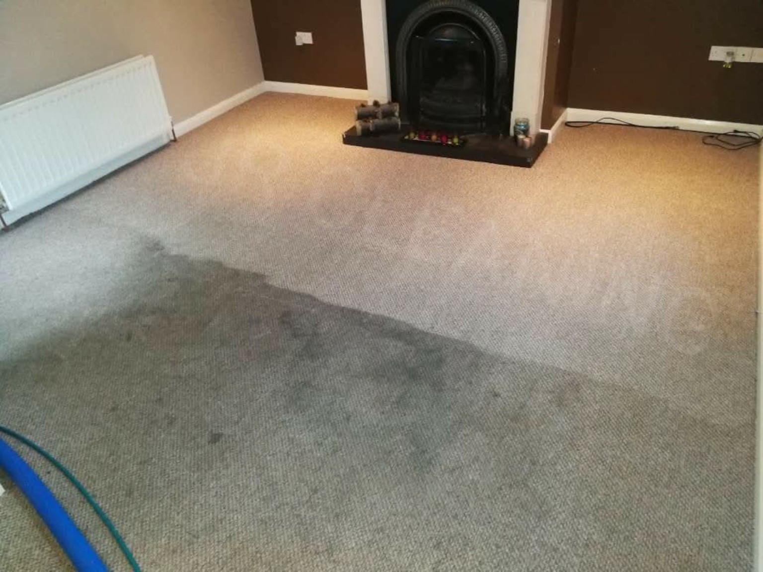 Living-room carpet during cleaning by JR, showing the contrast between cleaned and uncleaned areas
