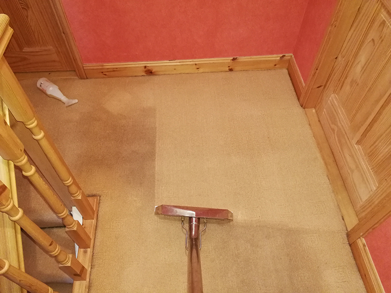 JR cleaning a landing carpet with a red extraction wand